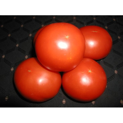 Paradajz_Narvik_SPF_10g
