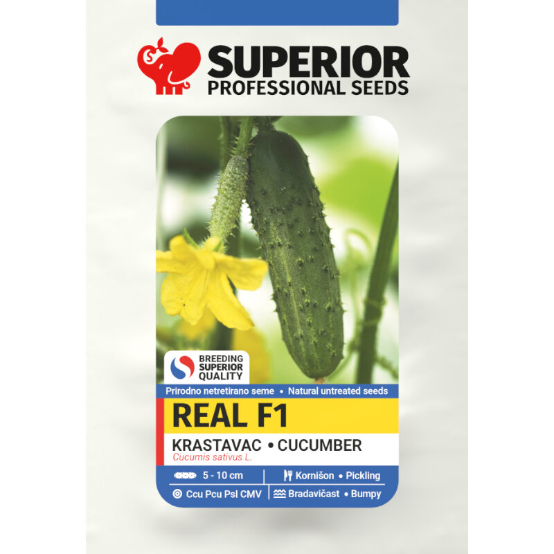 Kornison_Real_F1_2,5g